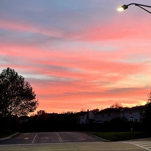 Meet your Posher, Izzy